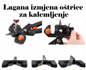 wertgf5342w